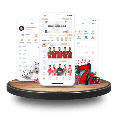 开云app官方入口网站